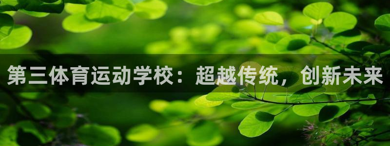 蓝狮在线集团股票：第三体育运动学校：超越传统，创新未来