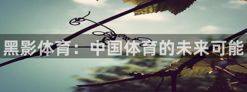 蓝狮在线体育平台注册：黑影体育：中国体育的未来可能
