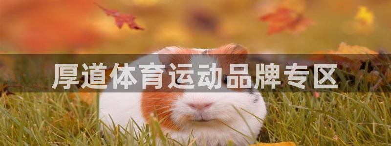 意昂平台：厚道体育运动品牌专区