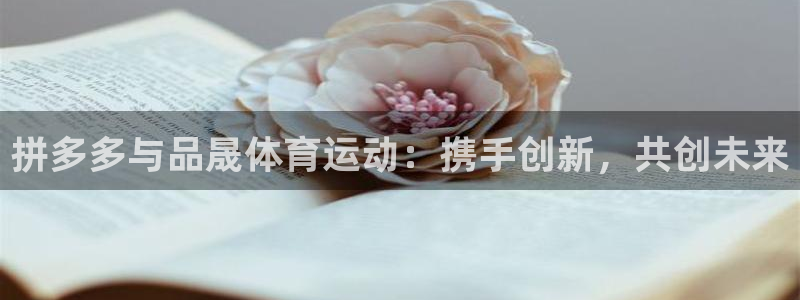 蓝狮在线体育官网登录：拼多多与品晟体育运动：携手创新，共创未来