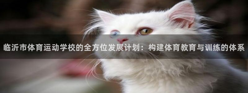 蓝狮在线4平台注册：临沂市体育运动学校的全方位发展计划：构建体育教育与训练的体系
