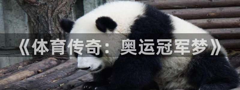 www.蓝狮在线体育.com：《体育传奇：奥运冠军梦》