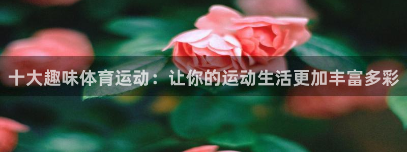 佛山市南海意昂机电仪器有限公司：十大趣味体育运动：让你的运动生活更加丰富多彩