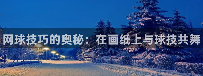 佛山市南海蓝狮在线机电仪器有限公司：网球技巧的奥秘：在画纸上与球技共舞